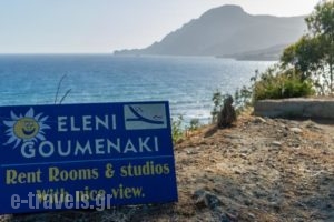 Eleni Goumenaki Plakiasudios_holidays_in_Hotel_Crete_Rethymnon_Plakias