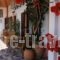 Eleni Goumenaki Plakiasudios_best deals_Hotel_Crete_Rethymnon_Plakias