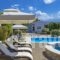 Villa Plumeria Flower_holidays_in_Villa_Crete_Chania_Akrotiri