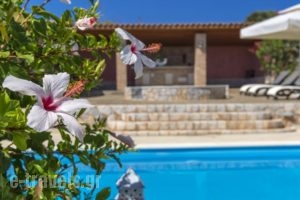 Villa Plumeria Flower_lowest prices_in_Villa_Crete_Chania_Akrotiri