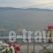 Ktima Develekou_holidays_in_Hotel_Peloponesse_Argolida_Kranidi