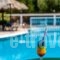 Bozikis Palace Hotel_travel_packages_in_Ionian Islands_Zakinthos_Laganas