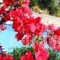 Marika Studios & Apartments_best deals_Apartment_Crete_Chania_Vryses Apokoronas