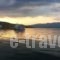 Alex Studios_holidays_in_Hotel_Central Greece_Fthiotida_Pelasgia