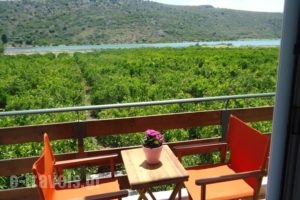 Ktima Klimentini_accommodation_in_Hotel_Peloponesse_Arcadia_Astros