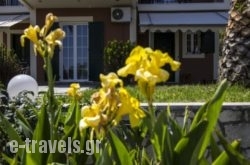 Aspasia Studios_s __1