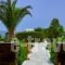 Peristeri Apartments_travel_packages_in_Cyclades Islands_Antiparos_Antiparos Chora