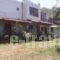 Oasis Apartments_best prices_in_Apartment_Thessaly_Magnesia_Pilio Area