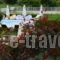 Maria - Louiza_best deals_Hotel_Central Greece_Evia_Edipsos