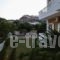 Anemones Studios & Apartments_best prices_in_Apartment_Dodekanessos Islands_Kos_Kos Rest Areas