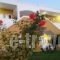 Anemones Studios & Apartments_best deals_Apartment_Dodekanessos Islands_Kos_Kos Rest Areas
