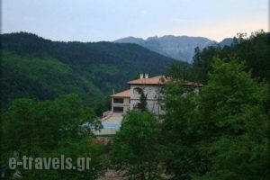 Styga Mountain Resort_best prices_in_Hotel_Peloponesse_Arcadia_Dimitsana