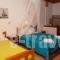 Stefanos Katsaros Studios_best prices_in_Hotel_Dodekanessos Islands_Patmos_Skala