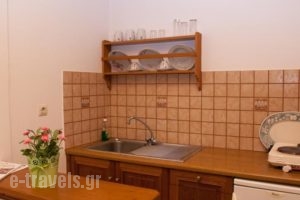 Stefanos Katsaros Studios_lowest prices_in_Hotel_Dodekanessos Islands_Patmos_Skala