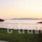 Four-Bedroom Holiday home with Sea View in Almiros Volos_travel_packages_in_Thessaly_Magnesia_Almiros