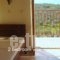 Anemones Villas_best deals_Villa_Peloponesse_Lakonia_Gythio
