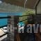 Orfeas Rooms_best deals_Room_Ionian Islands_Lefkada_Lefkada's t Areas