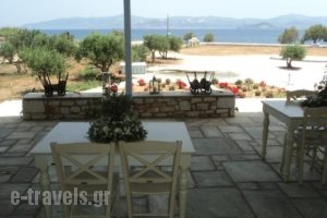 Ambelas Mare Apartments_best deals_Apartment_Cyclades Islands_Paros_Paros Chora