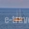 Maragakis Beach Hotel_holidays_in_Hotel_Crete_Heraklion_Chersonisos
