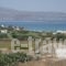 Kapares Studios_lowest prices_in_Hotel_Cyclades Islands_Naxos_Agia Anna