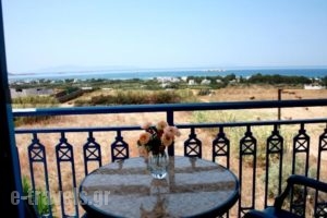 Kapares Studios_best prices_in_Hotel_Cyclades Islands_Naxos_Agia Anna