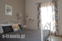 Nikos & Vivi Studios_s __1