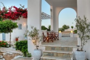 Paros Rita Studios_holidays_in_Hotel_Cyclades Islands_Paros_Alyki