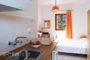 Stafylos Studios_travel_packages_in_Sporades Islands_Skopelos_Skopelos Chora