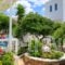 Paros Rita Studios_travel_packages_in_Cyclades Islands_Paros_Alyki