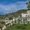 Harkia Villas_best deals_Villa_Crete_Rethymnon_Rethymnon City