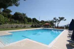 Electra Apartments & Studios_lowest prices_in_Apartment_Aegean Islands_Samos_Pythagorio