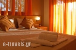 Villa Decauville_s __1
