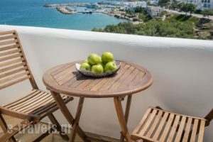 Paliomylos Spa Hotel_best prices_in_Hotel_Cyclades Islands_Paros_Piso Livadi