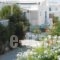 Nicolas Studios_best prices_in_Hotel_Cyclades Islands_Antiparos_Antiparos Chora