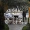 Studios Apollon_best deals_Hotel_Aegean Islands_Thasos_Thasos Chora