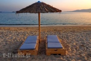 To Armiro Boutique Houses_accommodation_in_Hotel_Cyclades Islands_Naxos_Mikri Vigla