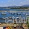 Faros Luxury Suites_accommodation_in_Hotel_Thessaly_Magnesia_Pilio Area