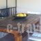 Fotis Rooms_best prices_in_Room_Peloponesse_Ilia_Pyrgos