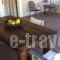 Fotis Rooms_lowest prices_in_Room_Peloponesse_Ilia_Pyrgos