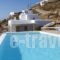 Lights Of Mykonos_lowest prices_in_Hotel_Cyclades Islands_Mykonos_Mykonos ora