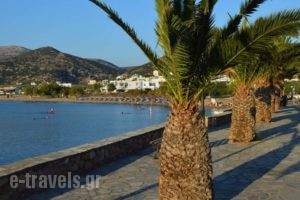 Angelino Rooms_accommodation_in_Room_Cyclades Islands_Syros_Galissas