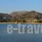 Angelino Rooms_holidays_in_Room_Cyclades Islands_Syros_Galissas