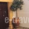 Villa Elena_holidays_in_Villa_Dodekanessos Islands_Rhodes_Lindos