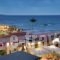 Malliotakis Beach Hotel_best deals_Hotel_Crete_Heraklion_Chersonisos