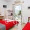 John's Rooms & Studios_accommodation_in_Room_Cyclades Islands_Paros_Paros Chora