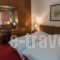 City Hotel Apollonion_lowest prices_in_Hotel_Central Greece_Evritania_Karpenisi
