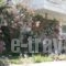 Hotel Maistrali_best deals_Hotel_Macedonia_Halkidiki_Sarti