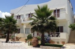 Lion-Suites_s __1