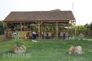 Olympion Village Studios_travel_packages_in_Peloponesse_Ilia_Zacharo