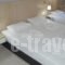 Catherine Hotel_holidays_in_Hotel_Dodekanessos Islands_Kos_Kos Chora